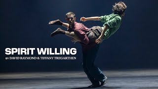 Spirit Willing, by David Raymond and Tiffany Tregarthen