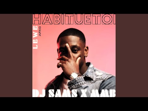 Lewe Afro (feat. Habituetoi & MMB) (Remix)