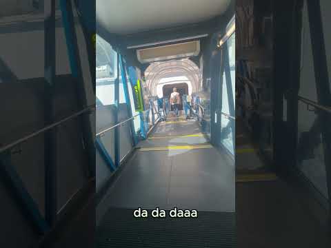 Thumbnail for First Steps Onboard! 🚢 Carnival Encounter Carpet Vibes Begin