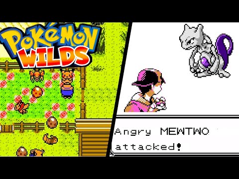 [INÉDIT] UN JEU POKÉMON GÉNÉRÉ ALÉATOIREMENT COMME MINECRAFT ! - PokéWilds