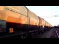 Marfar Apartinand Operatorului Privat Cargo Trans Vagon Plecand Din Chitila 25 11 2010 2 2