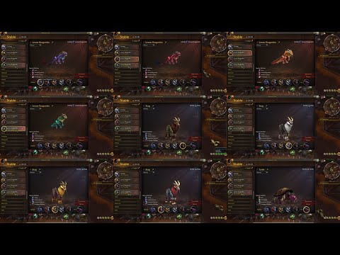 How to tame Patch 11.2.7: Wandering Isle Exclusive Hunter Pets