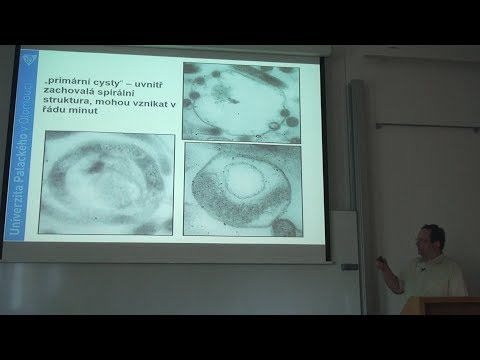 Michal Křupka - Existuje opravdu chronická lymská borelióza? (Pátečníci 30.8.2019)