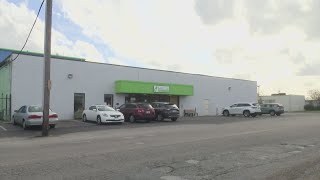 Norfolk animal shelter seeking pet adoptions, foster homes as it reaches capacity