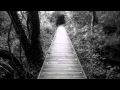 Carl Espen - Silent Storm (j. s. Remix) 