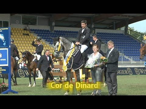 Hannoveraner Springpferdechampion 2014 der Vierjährigen Pferde - Cor de Dinard