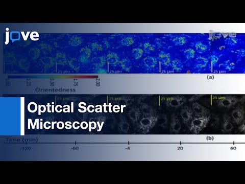 Optical Scatter Microscopy Based On 2D Gabor Filters l Protocol Preview