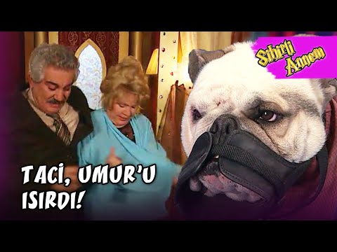 Taci, Umut'u Isırdı! - Sihirli Annem 8.Bölüm