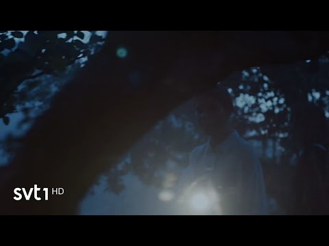 Firefox AK - Heart Of Mine (Official Video) //Tosc Melodifestivalen