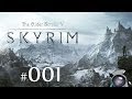 The Elder Scrolls V: Skyrim #001 - Вводная 