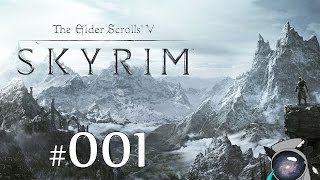 The Elder Scrolls V: Skyrim #001 - Вводная