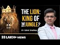 शेर क्यों है जंगल का राजा Mr Sonu Sharma Best Motivational V