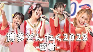 博多どんたく２０２３に密着！！