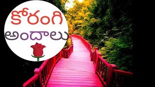 preview picture of video 'Korangi Forest Kakinada  కోరంగి అందాలు కాకినాడ'