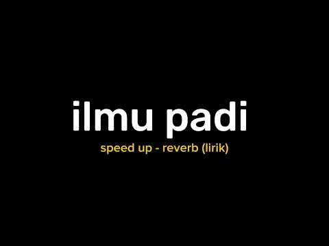 Ilmu padi - Speed up TikTok Version || mung wong cilik dayane rasepiro luru sandang pangan we rekoso