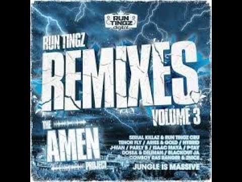 Run Tingz Remixes - Vol 3. The Amen Project - Road Block (Aries Remix)