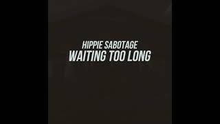 Hippie Sabotage - Waiting Too Long (432hz)