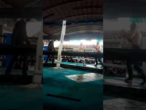 luciano nuñez .....indomables