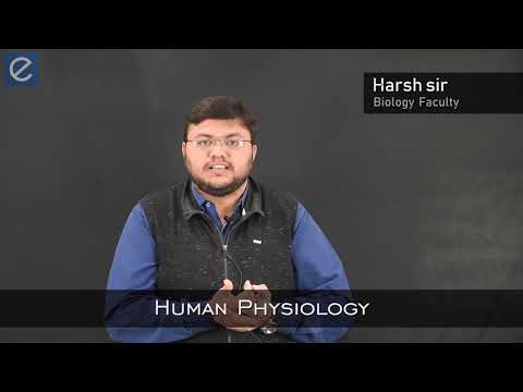 NEET Biology : Human Physiology