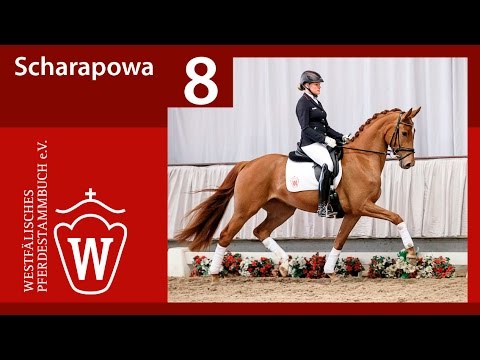 08 Scharapowa Stute v. Sir Heinrich - Riccio