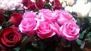 preview picture of video 'Florist Tangerang Jual Rangkaian Bunga Mawar, Anggrek, Lily'