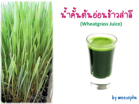 ขนาดเล็กกระเจี๊ยว onlain เชื้อโรคหญิงซุปเปอร์