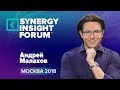 Андрей Малахов | Экономика внимания | SYNERGY INSIGHT FORUM 2018 