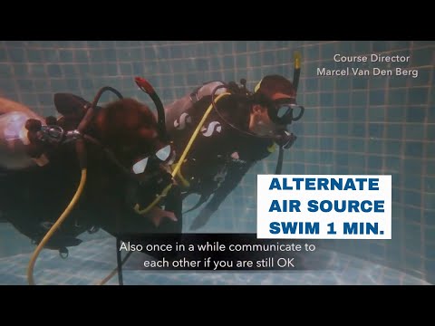 Alternate Air Source Swim for 1 Minute Skill - PADI Open Water Diver Course • Scuba Diving Tips