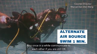 Alternate Air Source Swim for 1 Minute Skill - PADI Open Water Diver Course • Scuba Diving Tips