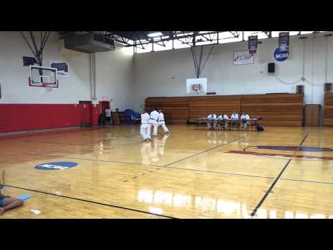 JKA New London 2012 Camp Godan (5th Dan) Kihon