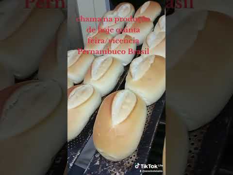 vicencia Pernambuco Brasil