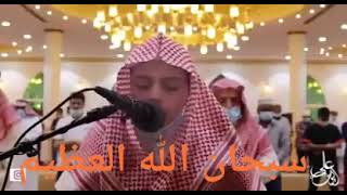 Download lagu Best Quran Recitation In The World | Ali Abdussalam Al Yusuf | 2022 Emotional Recitation mp3