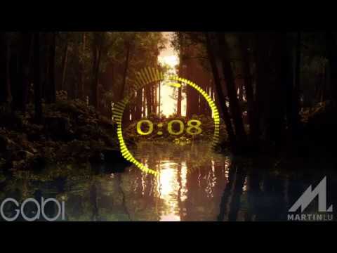 Martin Lu & Gabi - Stop it