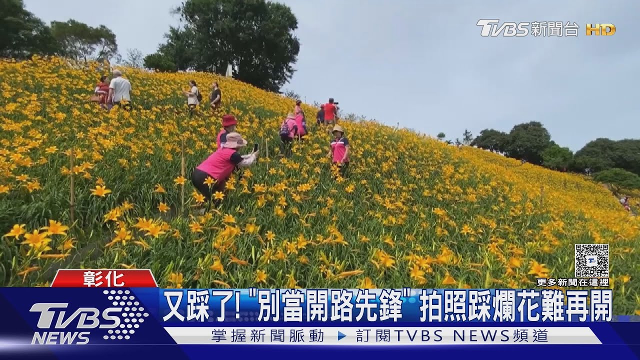「穿得像女神行為卻不女神」 金針花被踩爆