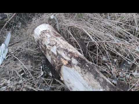 Greencut GS 7500 the next