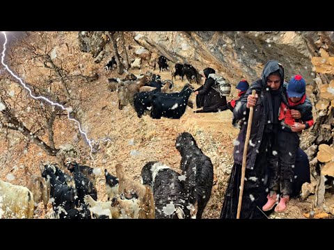 Nomadic Survival Story | Trapped in the Mountains, A Mother Seeks a Cave to Survive