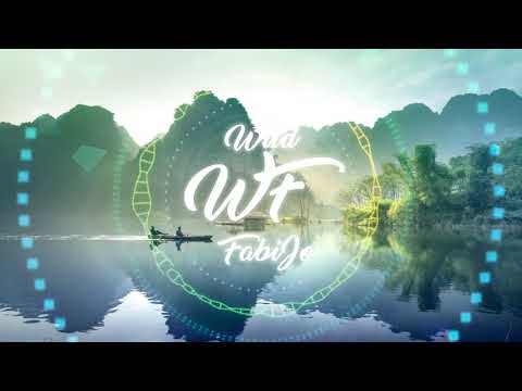 Gustavo Santaolalla Wild Fabijo Remix Pajaros Chill Deep House