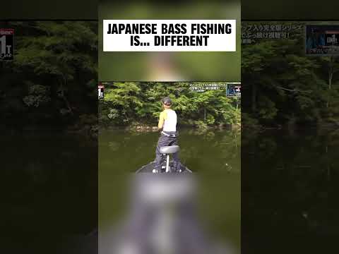 Japanese bass fishing is… awesome. Basser Limit 1 is so good! #bassfishing #fishing