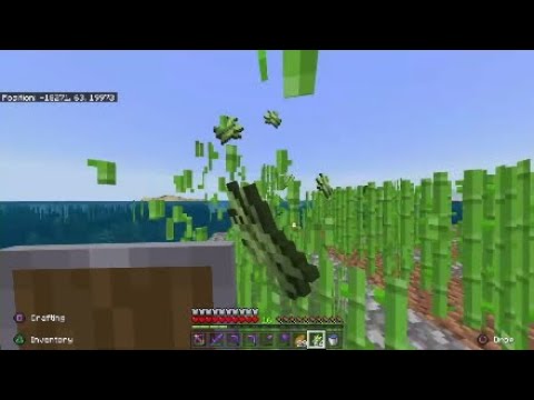 "i I don't give you permission"