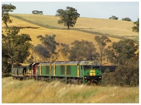 Australian diesel locomotives EL61, EL55, EL51, T381 & T399 - Cowra line - December 2000
