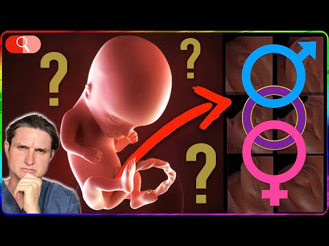 Futur bébé: FILLE, GARÇON …? Quand, comment savoir ?