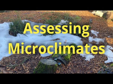Microclimates: Using Weather Events to Plan a Better Garden