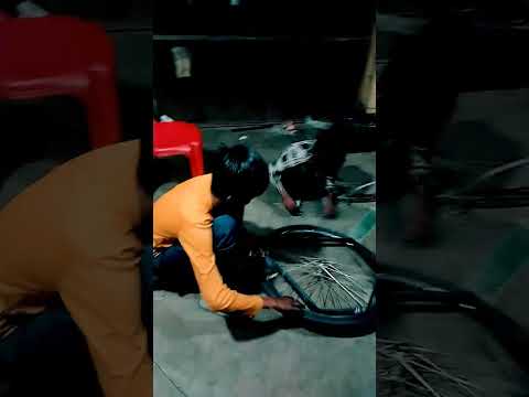 #music #doglover #musicgenre #pets #puppy