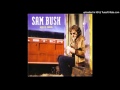 Sam Bush - "White Bird"