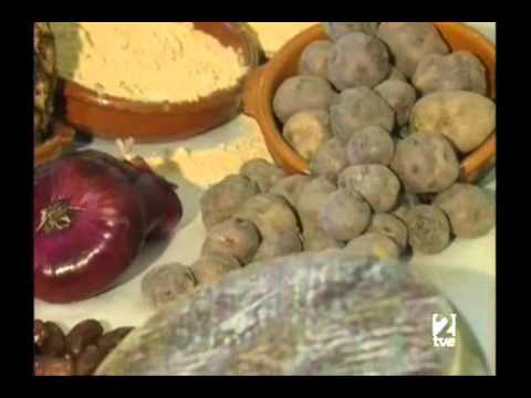 download lagu mp3 mp4 Queso Iberico Wikipedia, download lagu Queso Iberico Wikipedia gratis, unduh video klip Queso Iberico Wikipedia