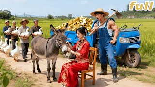CEO Pretend Farmer To Scare Delicate Wife! Unexpect She Doesn’t Care & Heal Sick Donkeys!Love Came!