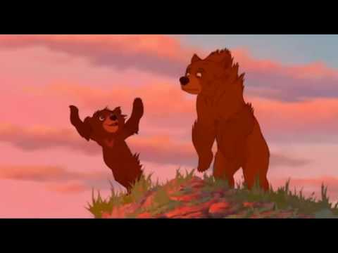 031 Hermano Oso En Marcha Estoy Español Europeo   480P