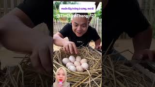 Download lagu Failed to steal chicken eggs⁉️TinChinhThong-123 mp3