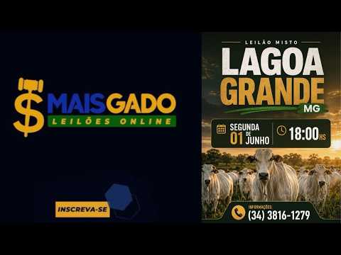 🐂🐄🐃 LEILÃO MISTO DE BOVINOS - LAGOA GRANDE/MG - MAIS GADO LEILÕES 🐂🐄🐃