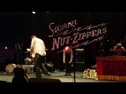 download lagu mp3 mp4 Squirrel Nut Bowl, download lagu Squirrel Nut Bowl gratis, unduh video klip Squirrel Nut Bowl